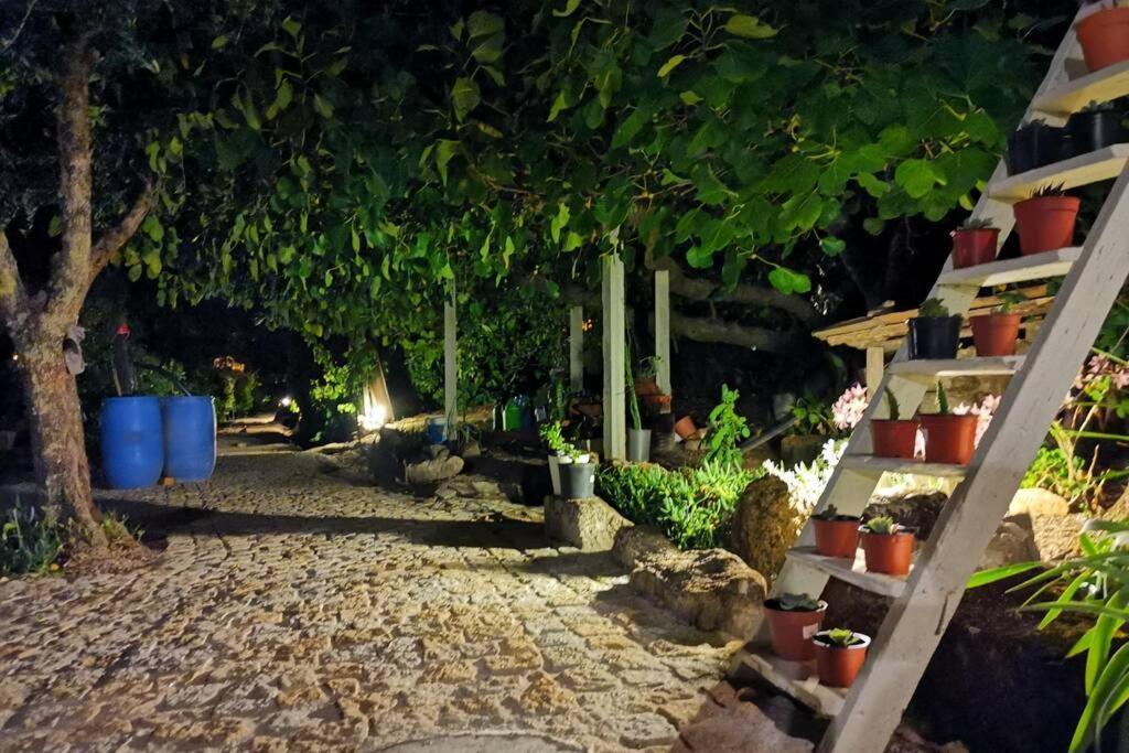 Holiday home Casa Bento Moura Portugal